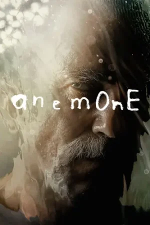 Anemone / (Ac3 Dol Ecoa Sgnl Sub) Affordable
