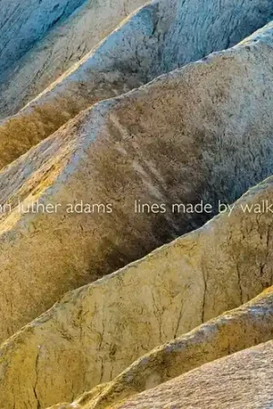 Luxury Lines Made By Walking