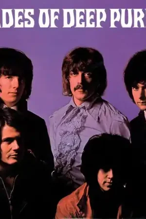 Shades of Deep Purple Next Day Delivery