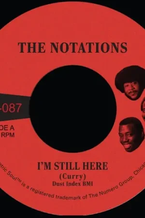 New Release I'm Still Here B/W What More Can I Say [Colored Vinyl]