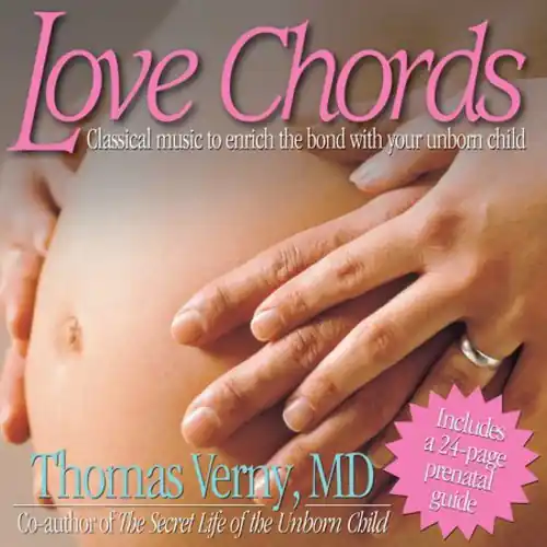 Money Back Guarantee Love Chords