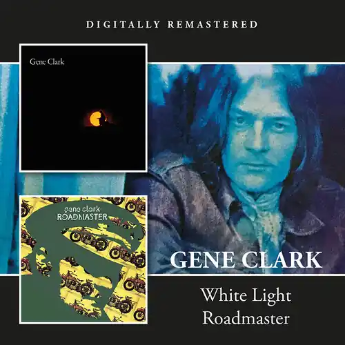 Professional Grade White Light / Roadmaster