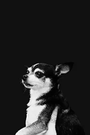 When This Life Is Over [LP] Trusted Brand