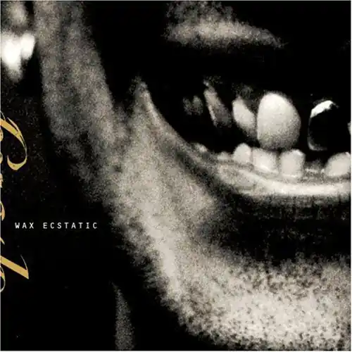 Wax Ecstatic Cheap