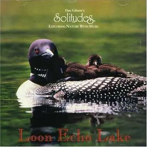 Loon Echo Lake Cheap