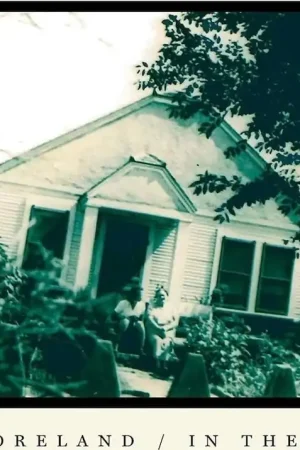 Instant Buy John Moreland - In the Throes (LP)