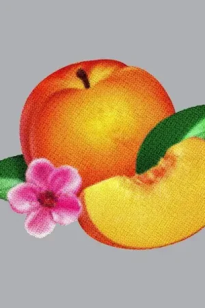 Price Cut Phoenix - Bankrupt! (LP)