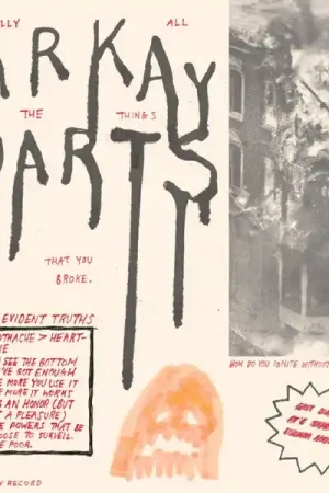Parquet Courts - Tally All the Things That You Broke (LP) Last Chance