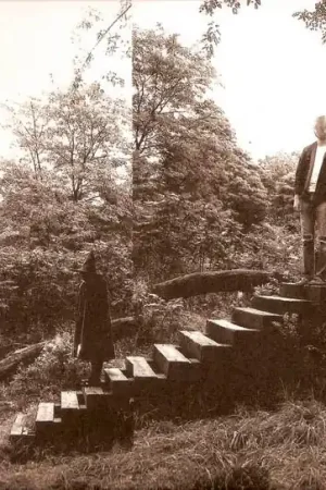 Low Price Timber Timbre - Timber Timbre (LP)