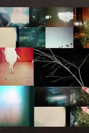 Suuns - The Breaks (LP) Fan Favorite