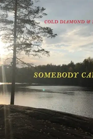 Cold Diamond & Mink & Jonny Benavidez - Somebody Cares (LP) Reduced Price