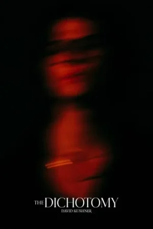 New Release David Kushner - The Dichotomy (2 LPs)