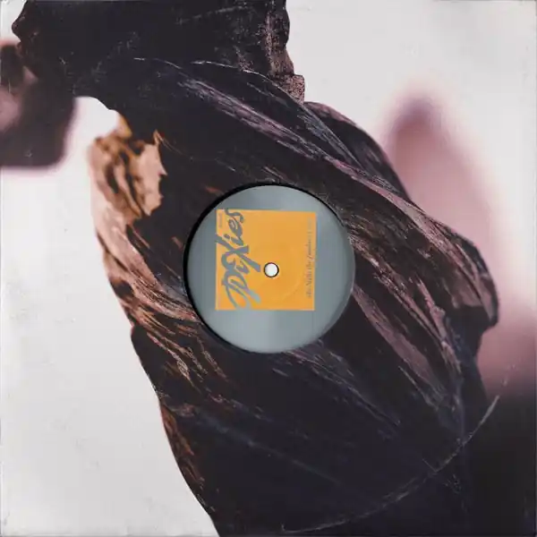 Pixies - The Night the Zombies Came (LP) One Day Deal