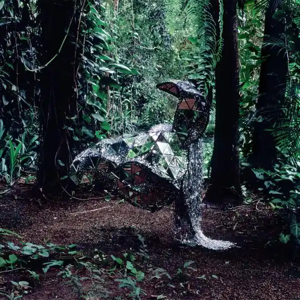 Css - Donkey (LP) New Arrival