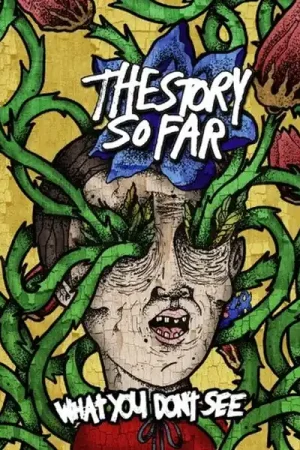 Brand New Story So Far - What You Don't See (LP)