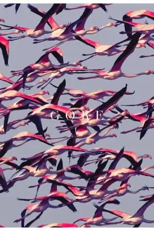 Exclusive Offer Deftones - Gore (2 LPs)