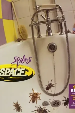 Budget Space - Spiders (LP)