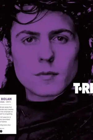 Time-Limited T. Rex - 1971 (2 LPs)