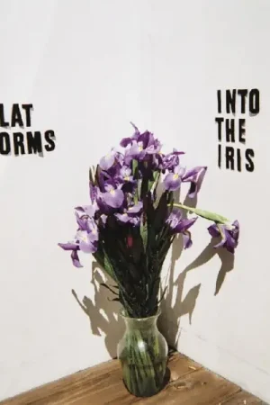 Authentic Flat Worms - Into the Iris (Single)