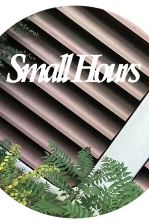 Various - Small Hours 005 (Single) Last Chance
