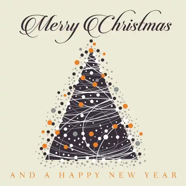 V/A - Merry Christmas and a Happy New Year (2 LPs) Professional Grade
