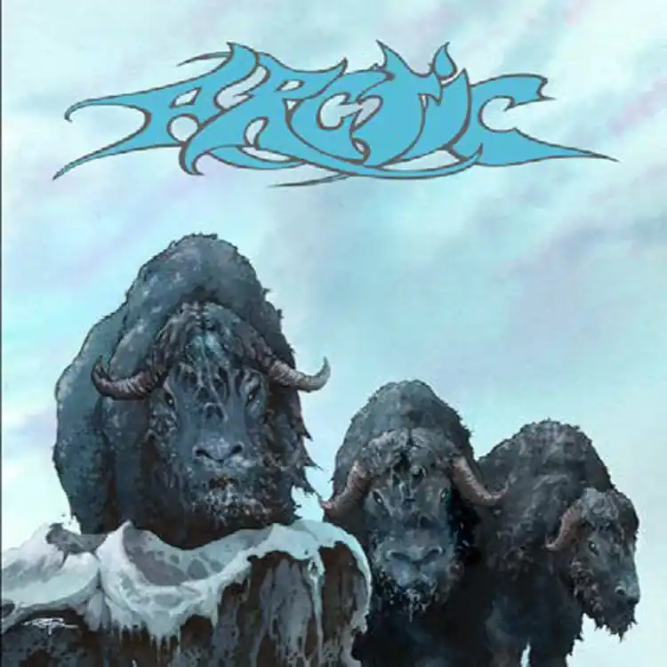 Limited Offer Arctic - Arctic (LP)