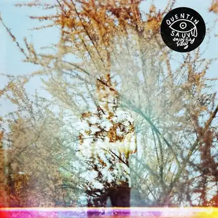Flash Sale Quentin Sauve - Enjoy the View (LP)