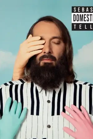 Crafted Sebastien Tellier - Domesticated (LP)