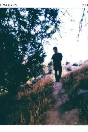 Seasonal Sale Cooper Wolken - Chapters (LP)