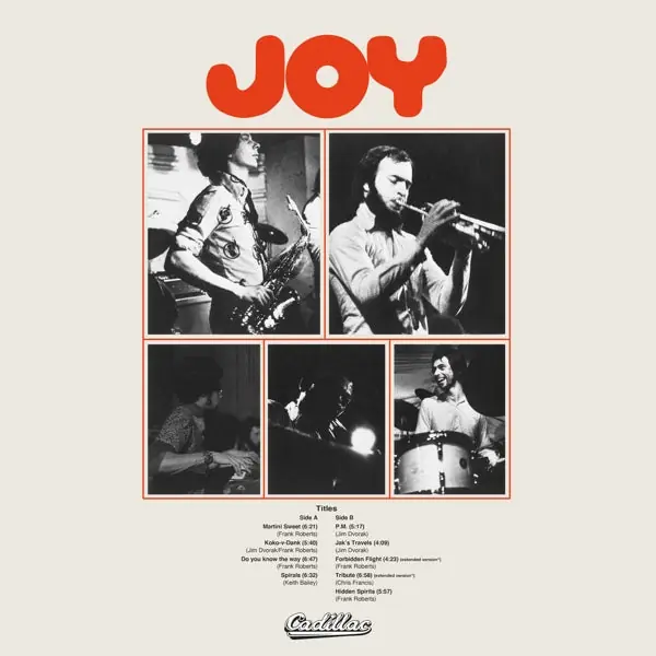 Express Delivery Joy - Joy (LP)