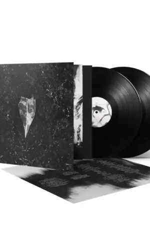 Bees Made Honey In the Vein Tree - Aion (2 LPs) Sale