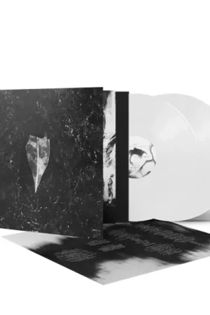 No Minimum Order Bees Made Honey In the Vein Tree - Aion (2 LPs)