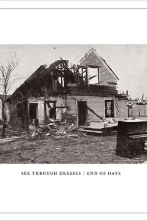 See Through Dresses - End of Days (Single) Secure Checkout