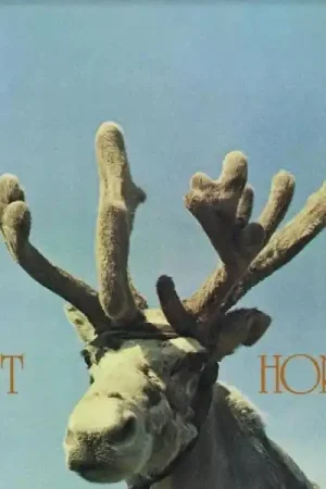 Saft - Horn (LP) Fast Shipping