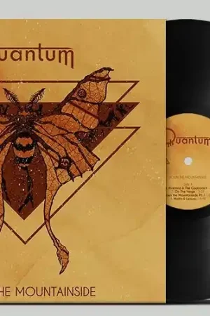 Quantum - Down the Mountainside (LP) Hassle-Free Returns