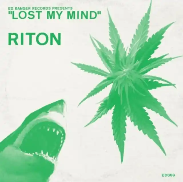 Top Pick RITON - LOST MY MIND (Vinyl)